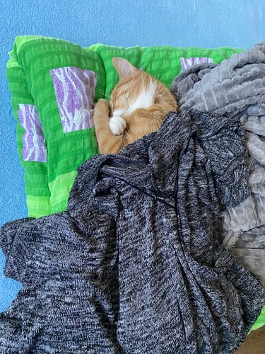 Simba