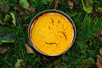 dýně